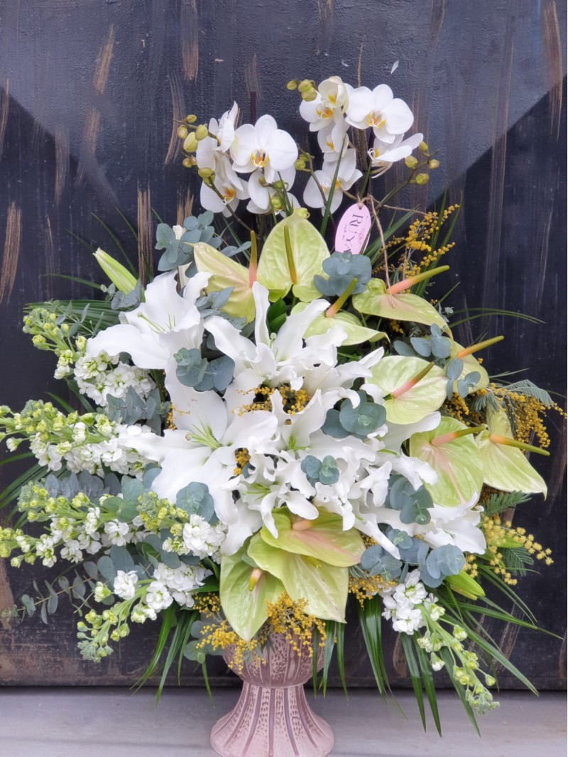 Anthuriums, Orchids & Liliums, Pure Elegancity Anthuriums, Orchids & Liliums, Pure Elegancity