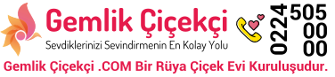 Gemlik Çiçekçi | Rüya Çiçek Evi | 0 224 514 00 00 